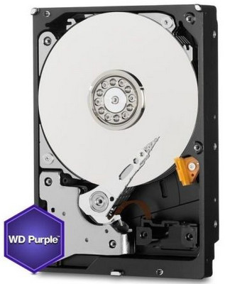 10TB Western Digital WD WD101PURP  Purple Pro Surveillance HDD SATA III 6.0Gb/s 7200RPM 256MB Cache